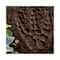 Paint Your Own Stepping Stone - Dinosaur Footprint